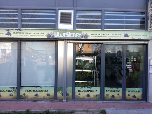 GROW SHOP BLUEBERRY Parla