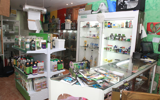 Ave María Grow Shop Algeciras Algeciras